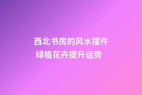 西北书房的风水摆件 绿植花卉提升运势